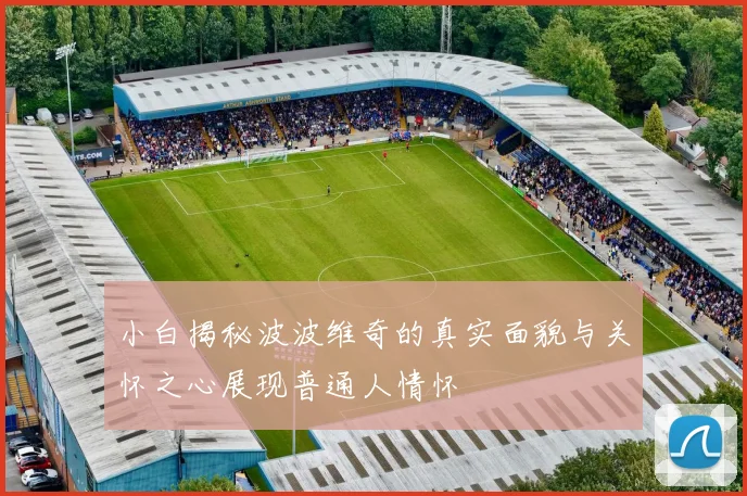 小白揭秘波波维奇的真实面貌与关怀之心展现普通人情怀